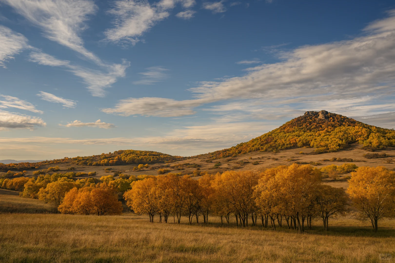 如果秋天有颜色,那一定是乌兰布统的斑斓