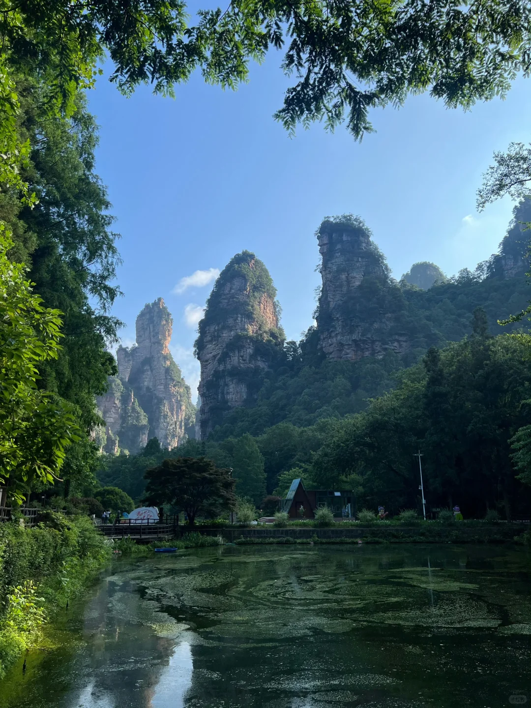 张家界旅游真不是你想那样🥲能劝一个是一个