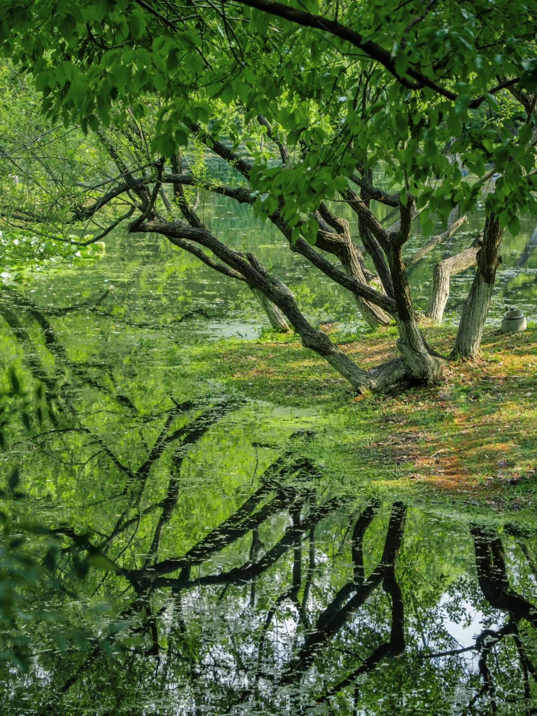 除了灵隐寺 断桥 我更喜欢杭州这9个地方🍃