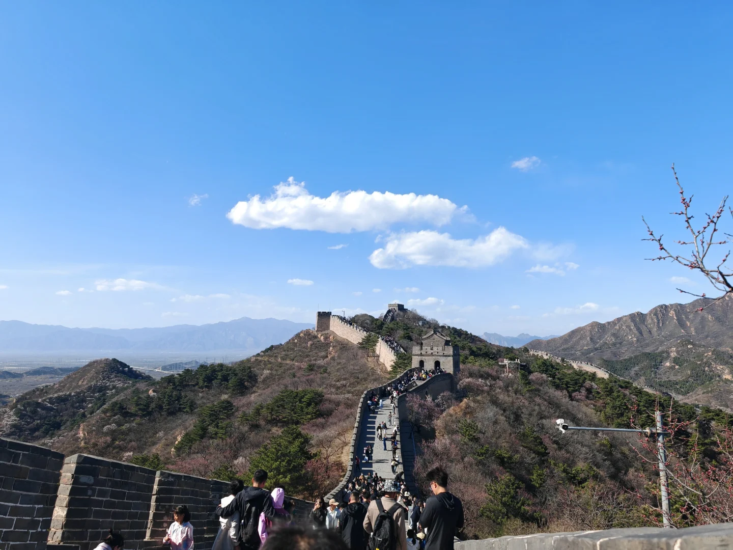 带父母去北京全过程