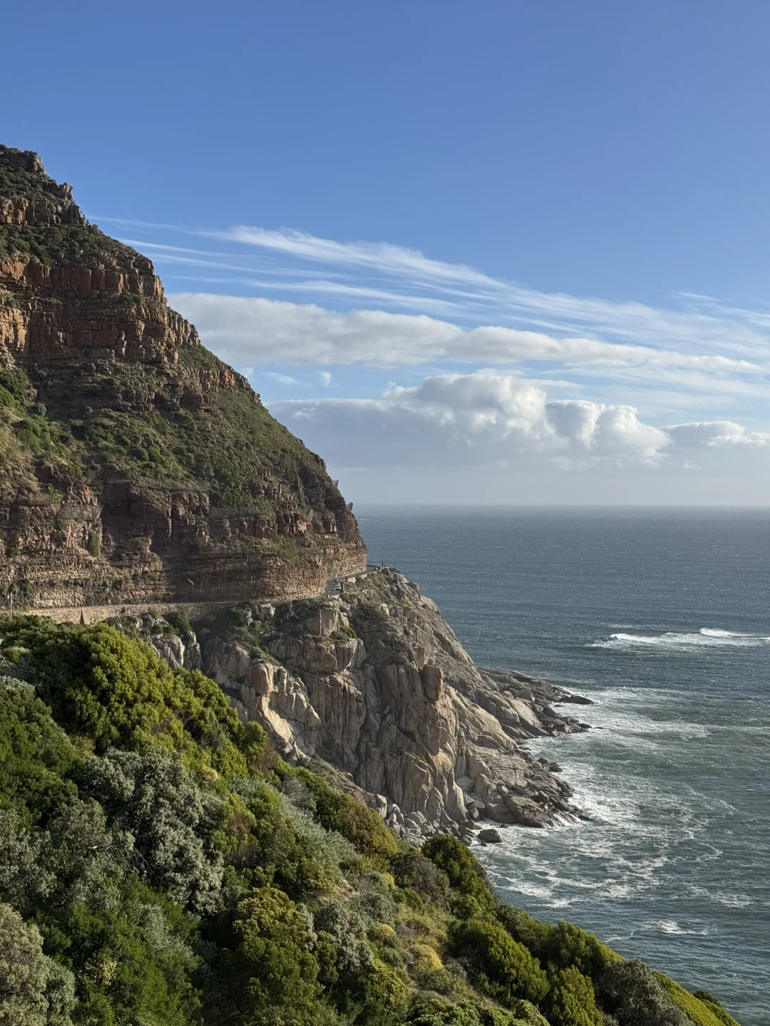 Live🇿🇦该怎么形容开普敦有多美好