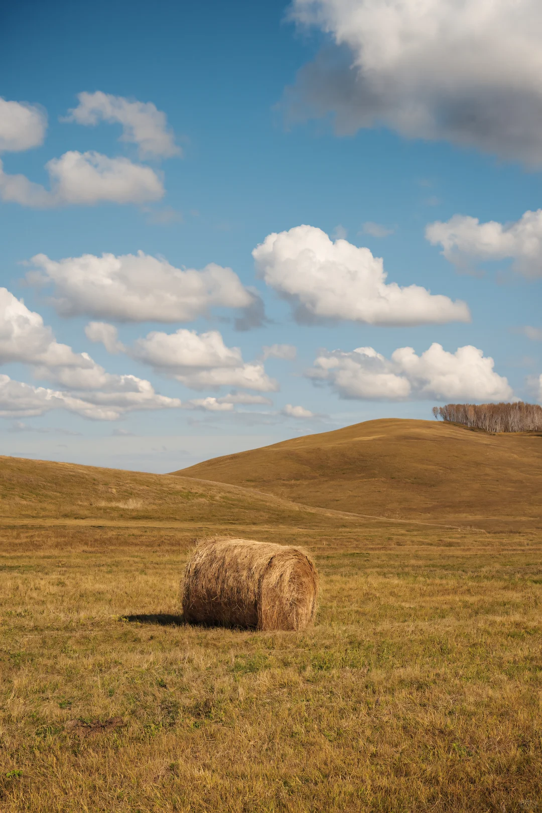 如果秋天有颜色,那一定是乌兰布统的斑斓