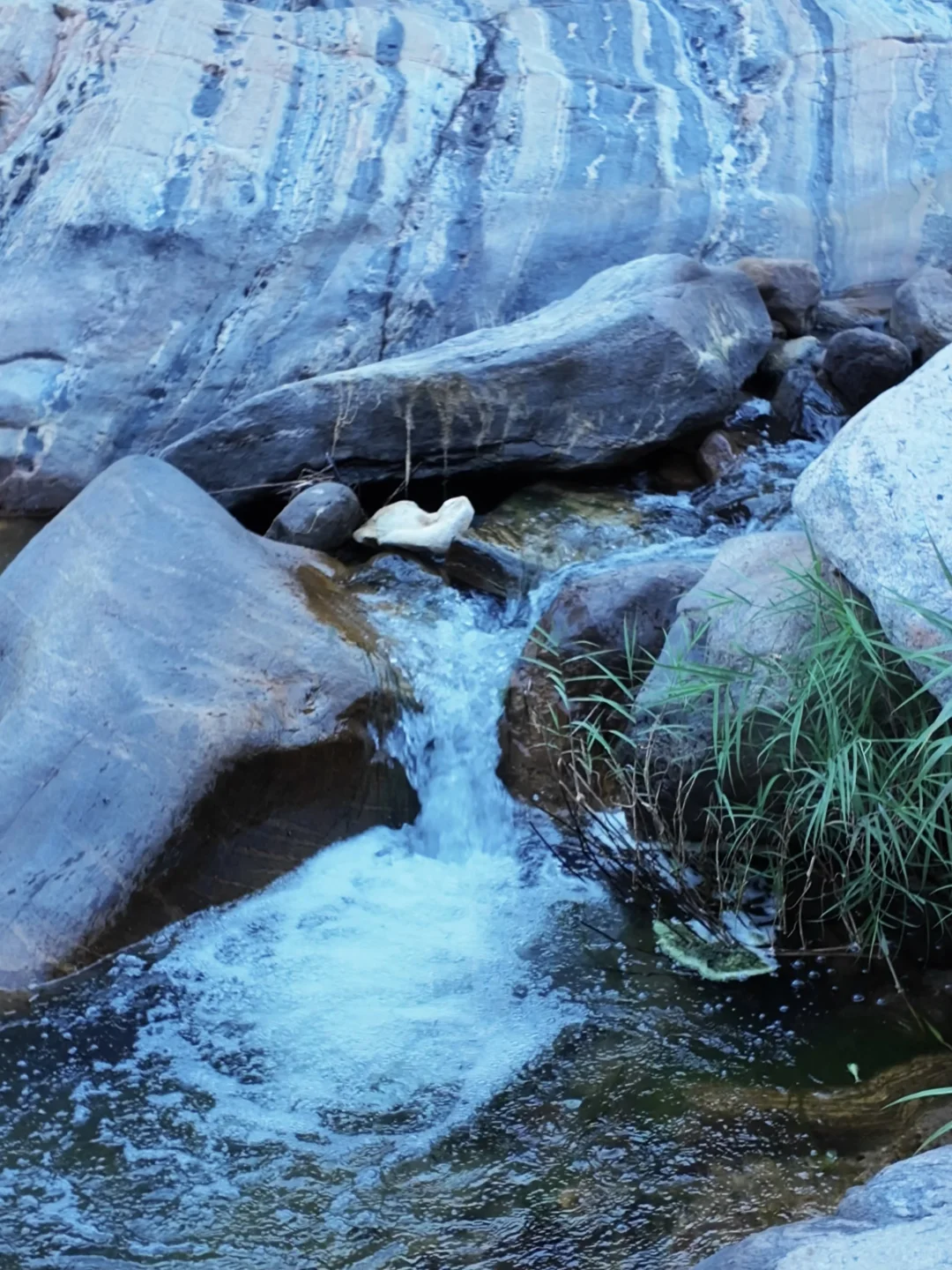 石家庄出发1h|十一解锁花海瀑布