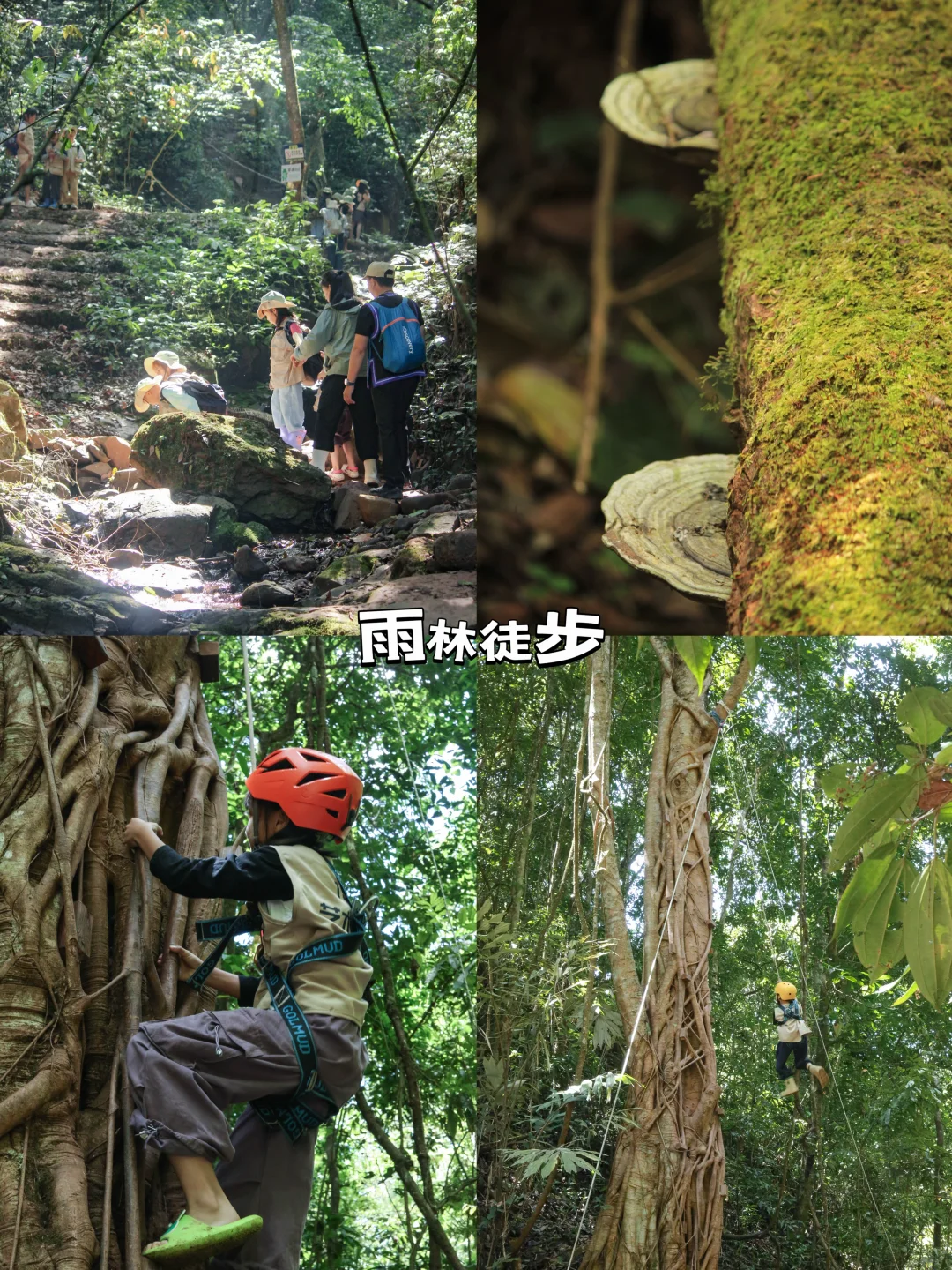 云南普洱｜一个值得N刷的宝藏旅游地