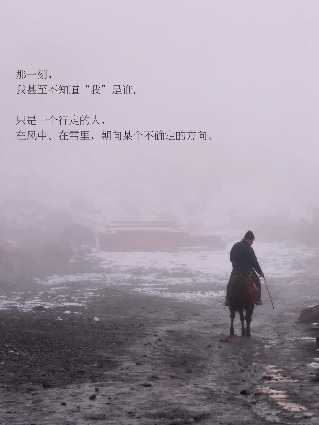 人为什么在辽阔天地面前，会无声流泪。