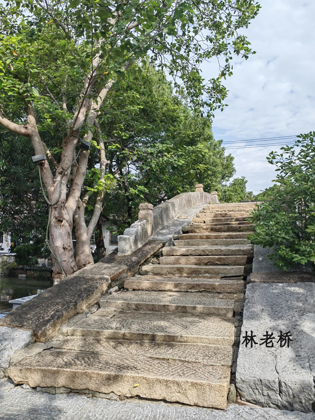 乍冷还暖时候