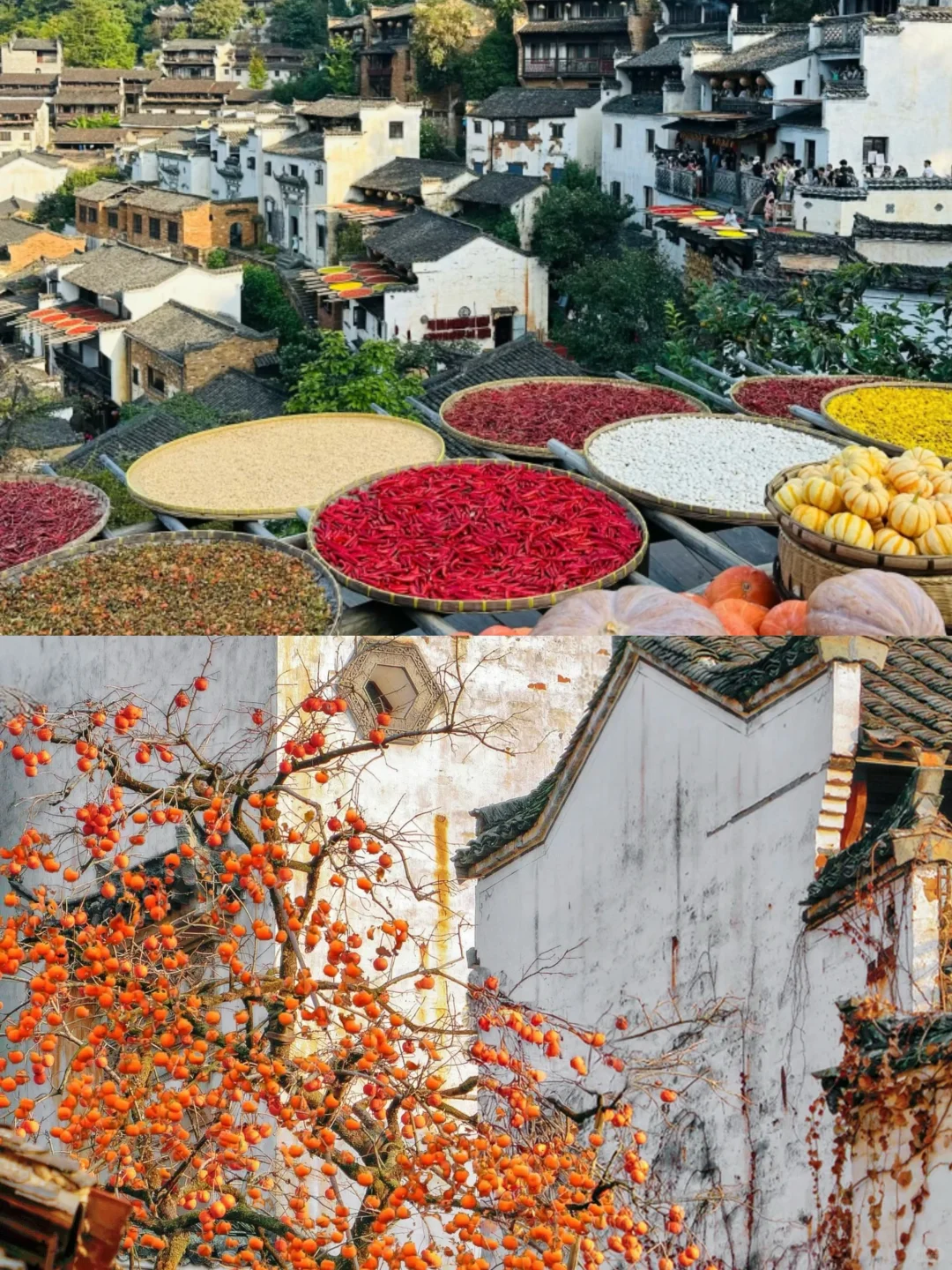 130多游篁岭景区