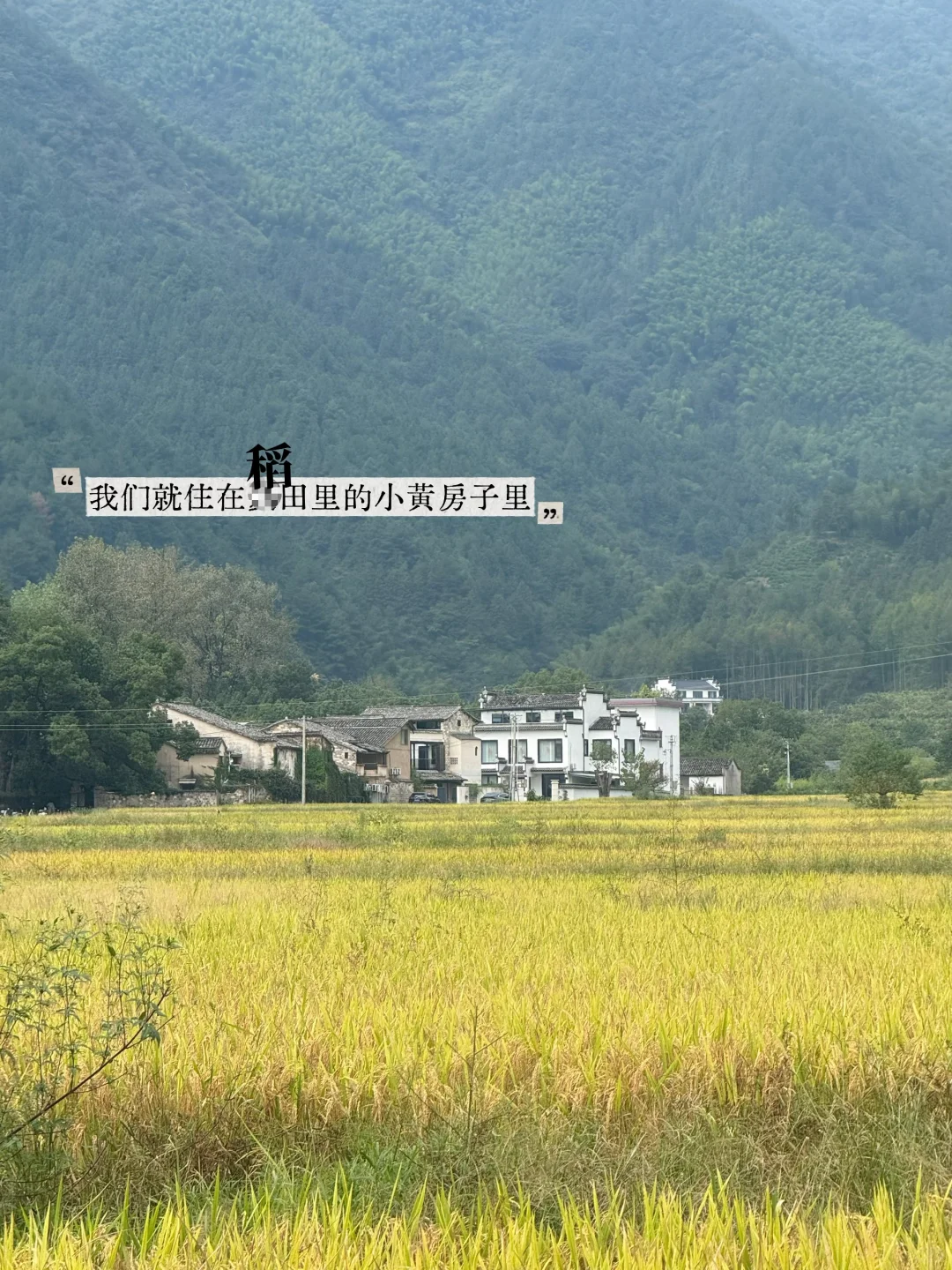 老外被震，安徽劲儿太大了