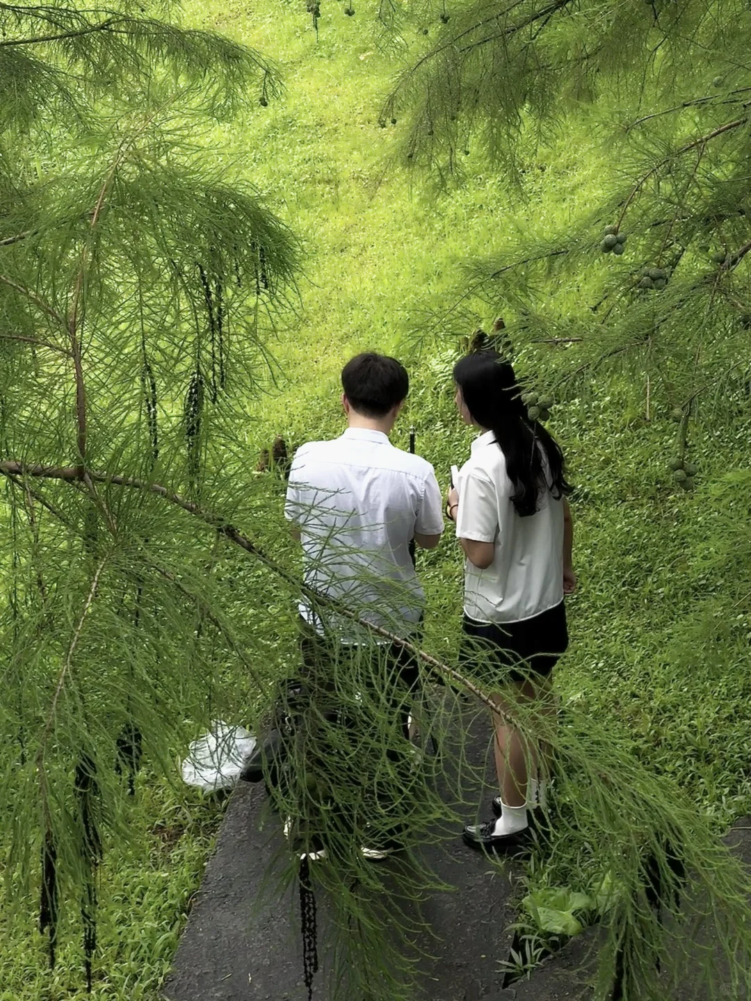 广州很漂亮的7个景点