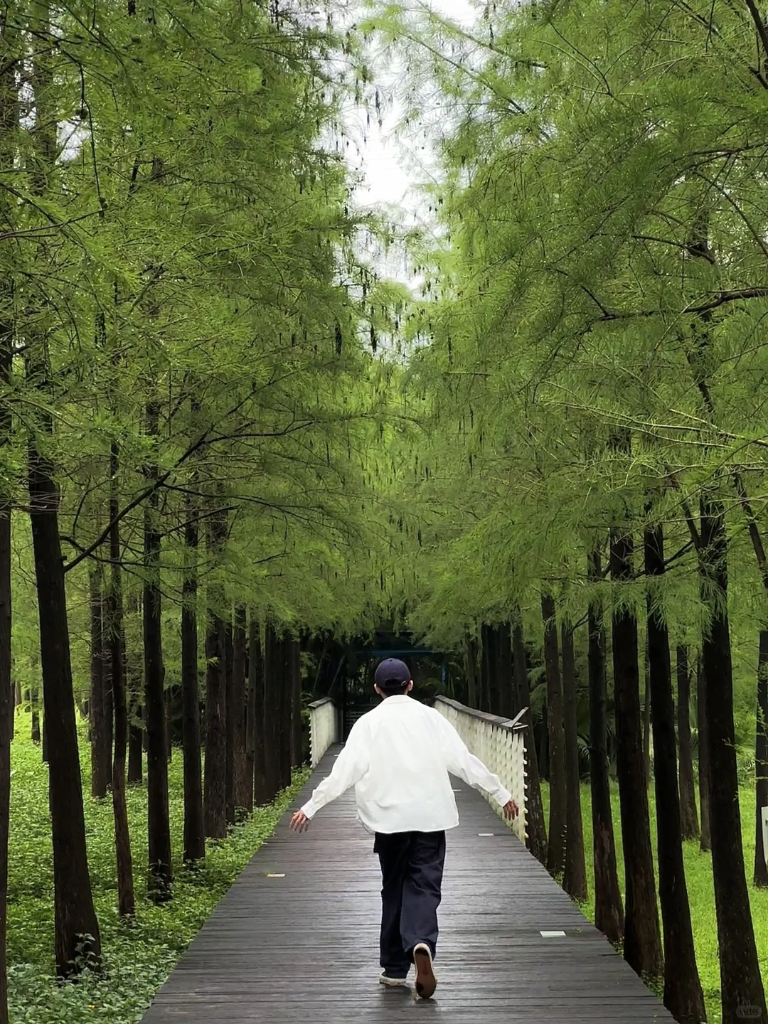 广州很漂亮的7个景点
