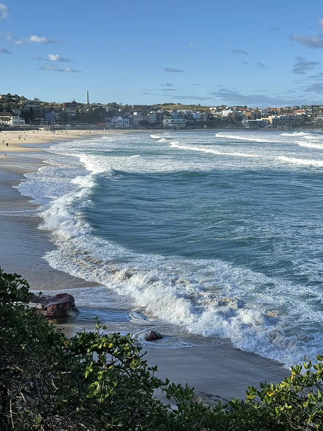 反季节的浪漫 南半球的海美到失语