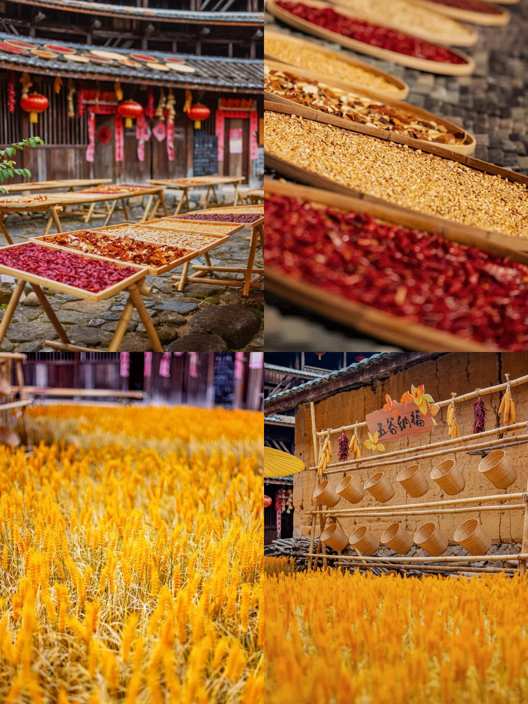 比起婺源!我更推荐这座百年土楼晒秋