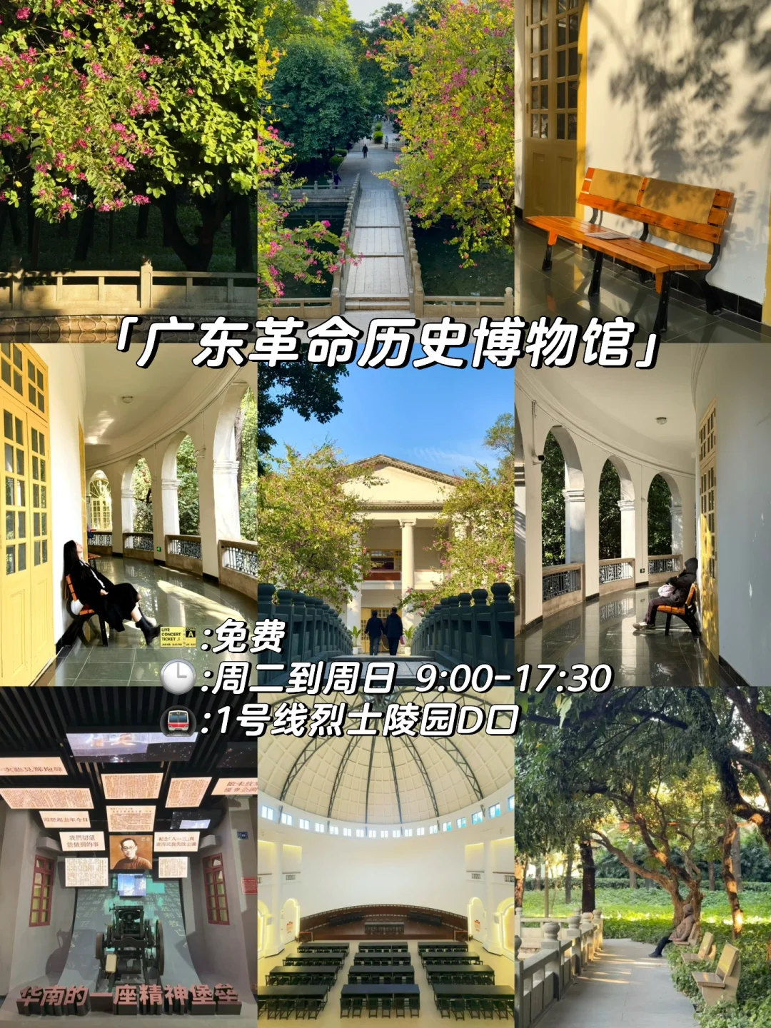 广州老城区citywalk丨必逛的11个精神避难所