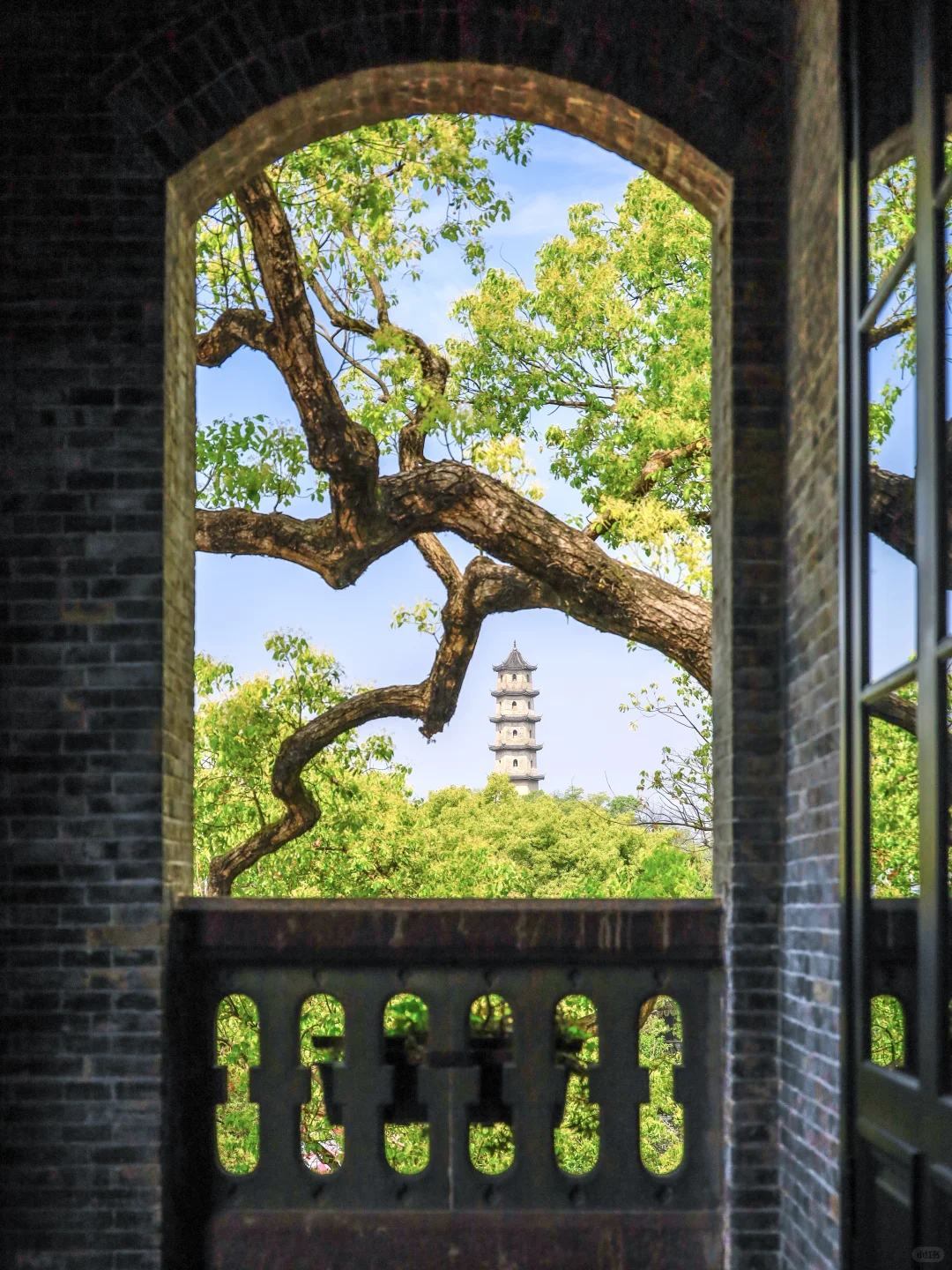 温州❗️你是怎么做到有这么高的出片率📸