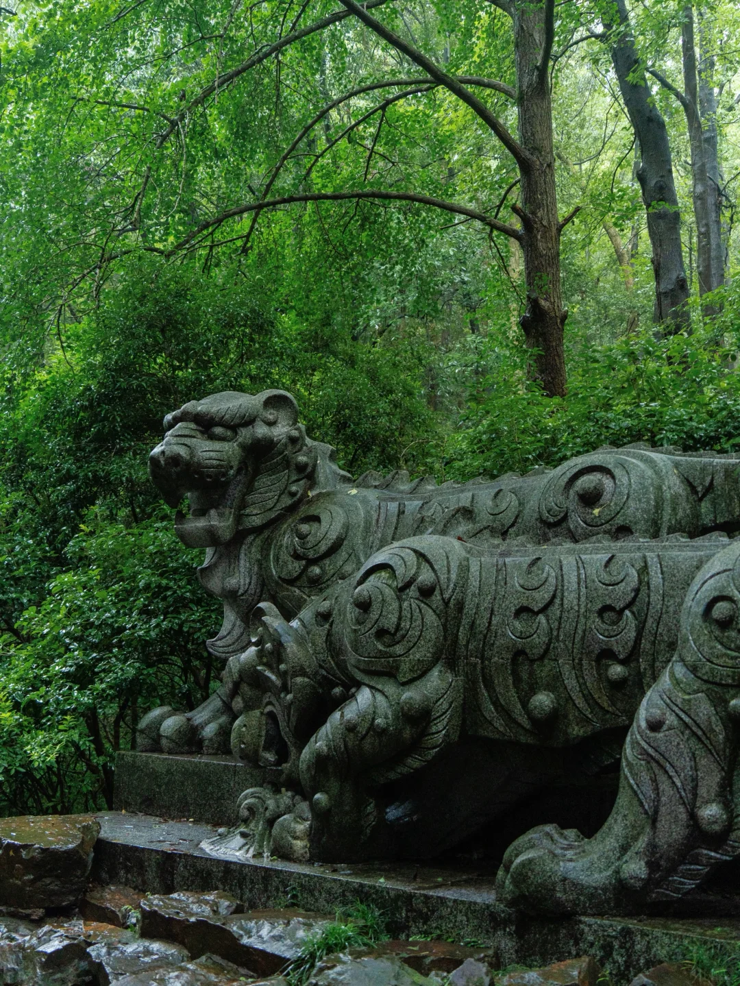 除了灵隐寺 断桥 我更喜欢杭州这9个地方🍃