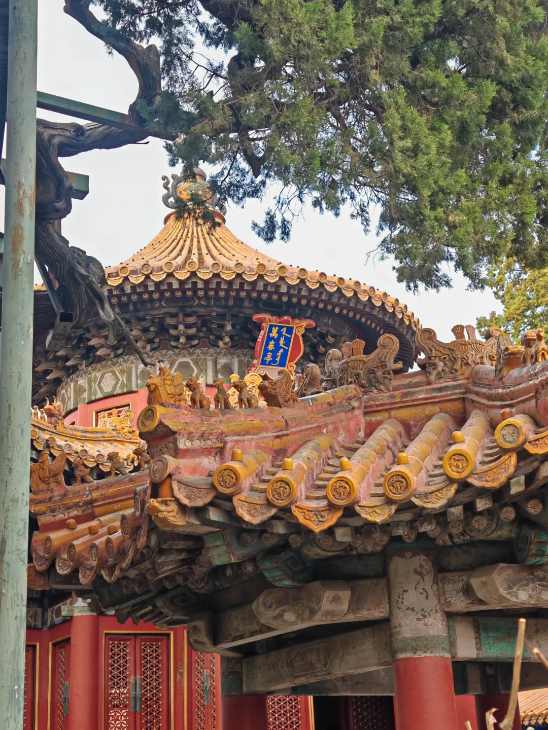 带父母去北京全过程