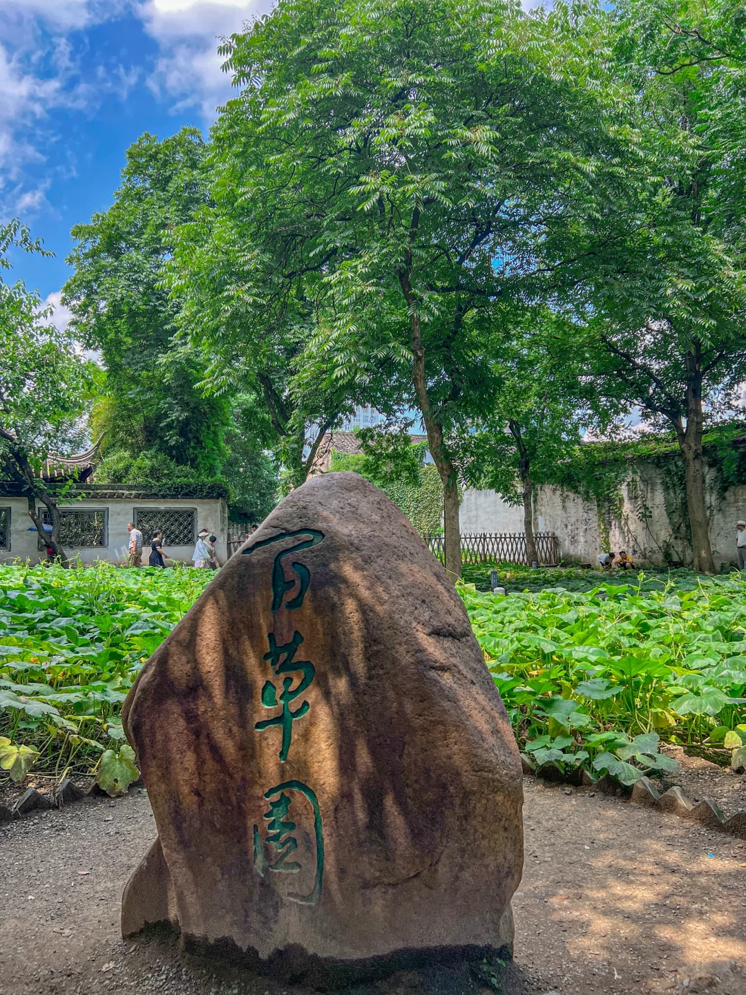 以为苏州已经很美了，直到我去了一趟绍兴……