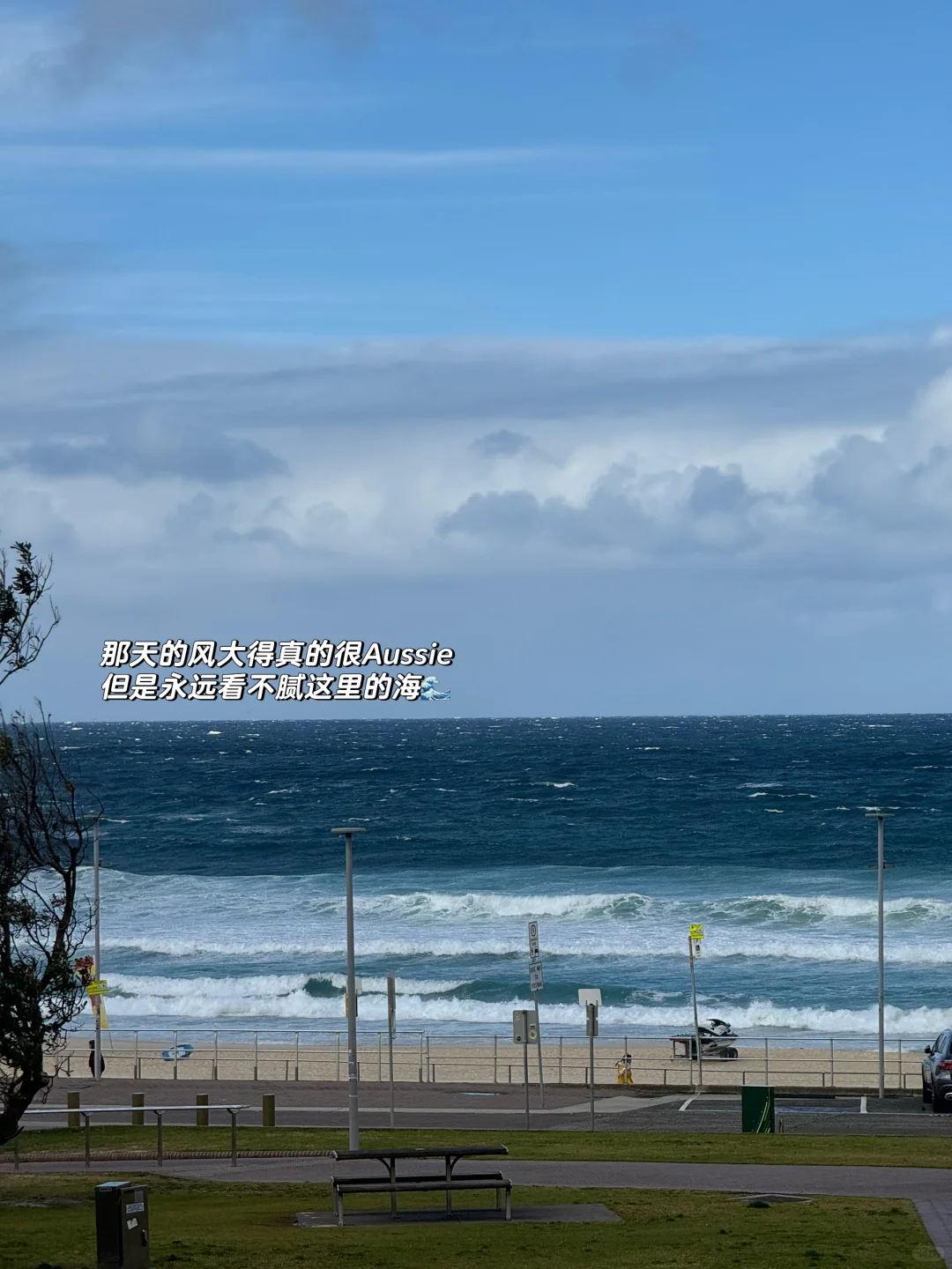 𝑺𝒚𝒅𝒏𝒆𝒚 𝑫𝒊𝒂𝒓𝒚🦘🇦🇺