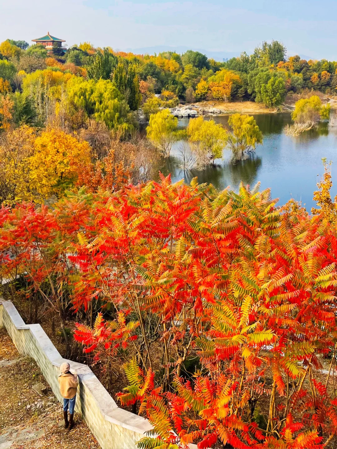 北京的秋天不这样玩儿等于白来！美到窒息！