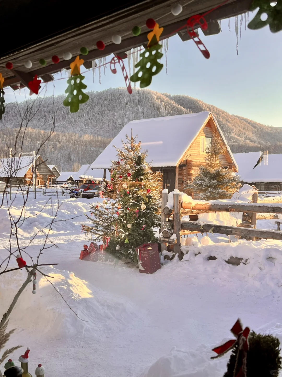 Live | 这个圣诞，一起去阿勒泰吧🎄☃️