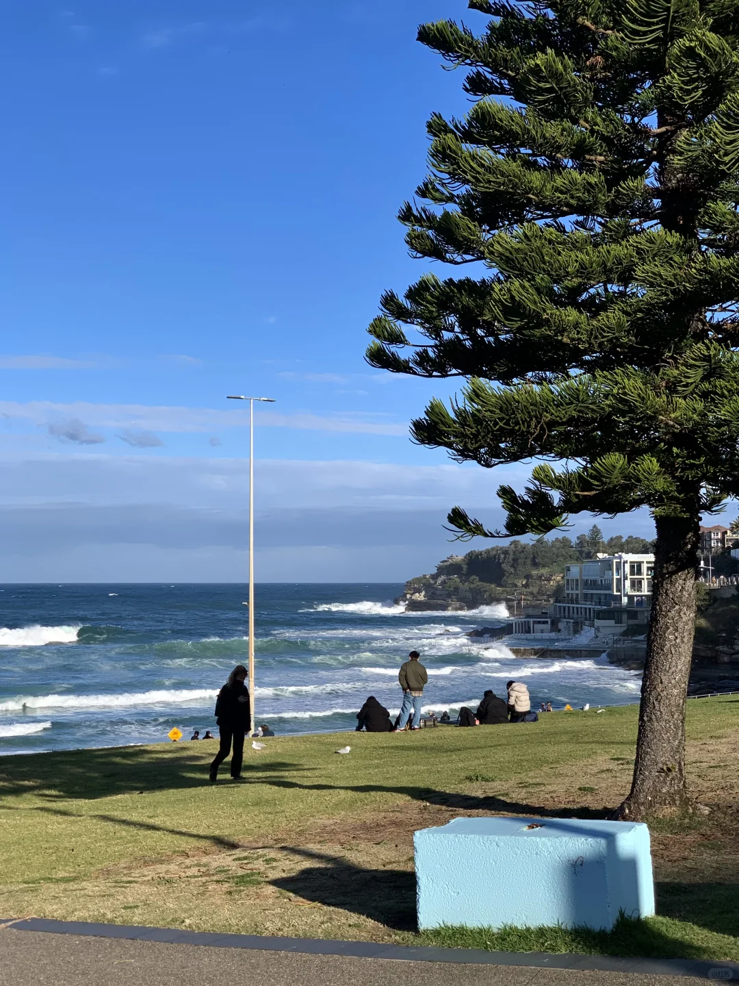 反季节的浪漫 南半球的海美到失语
