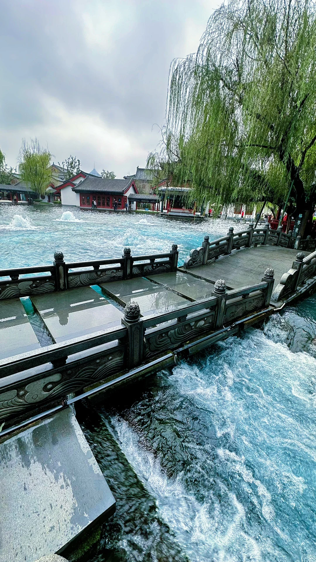 连续下雨，济南的泉水彻底“疯”了！