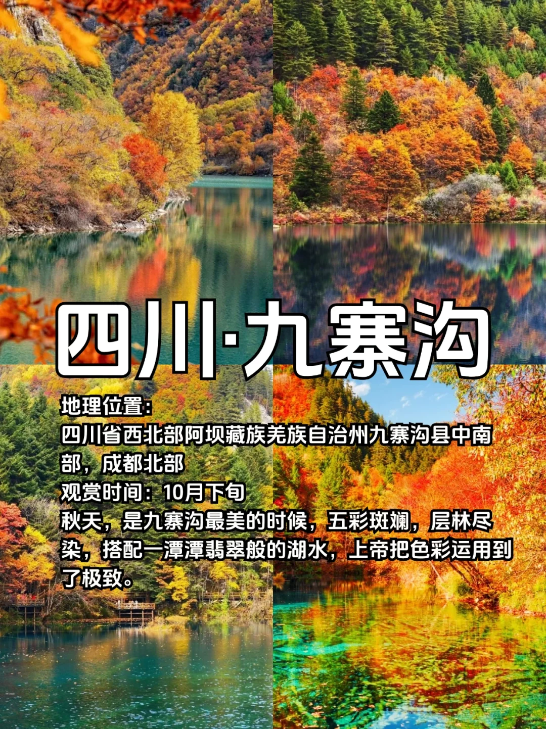适合10、11月去赏秋的10个城市合集🍁