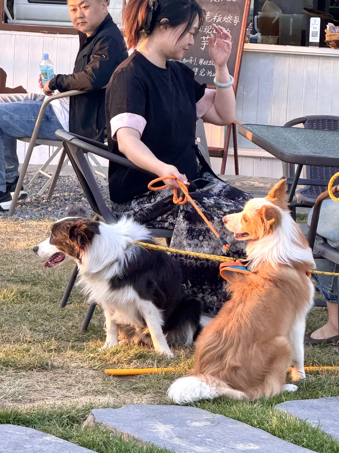 石家庄竟然有这么美的山顶HOUSE🌄