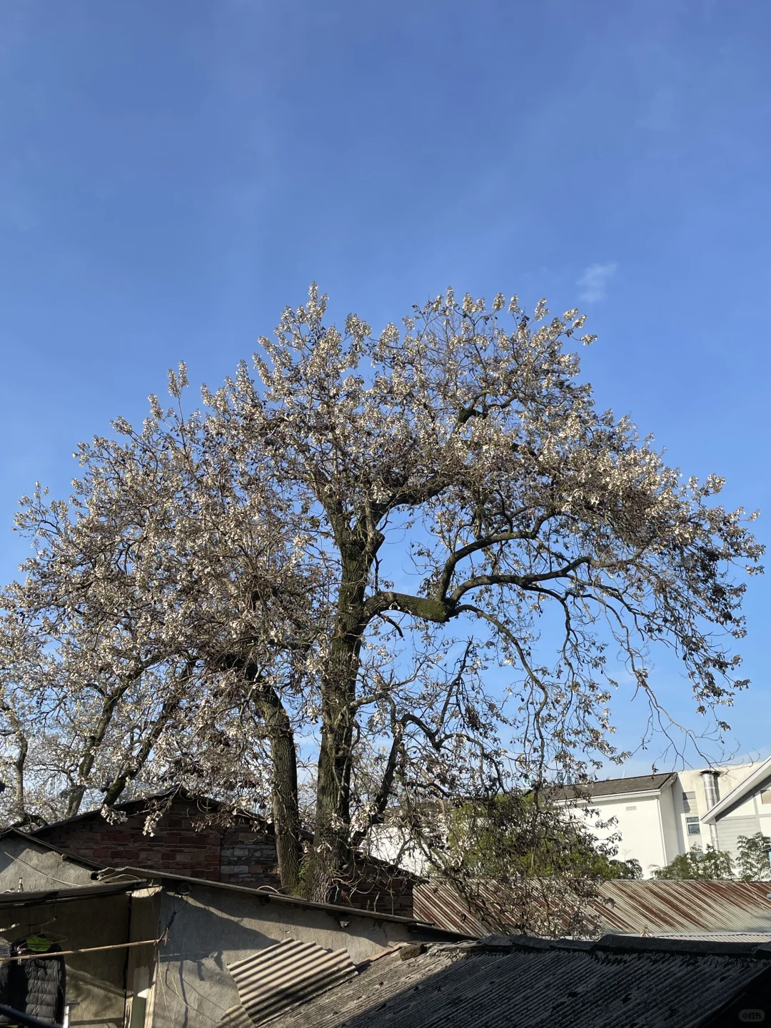 听劝国庆来景德镇旅游，真的少受好多罪！！