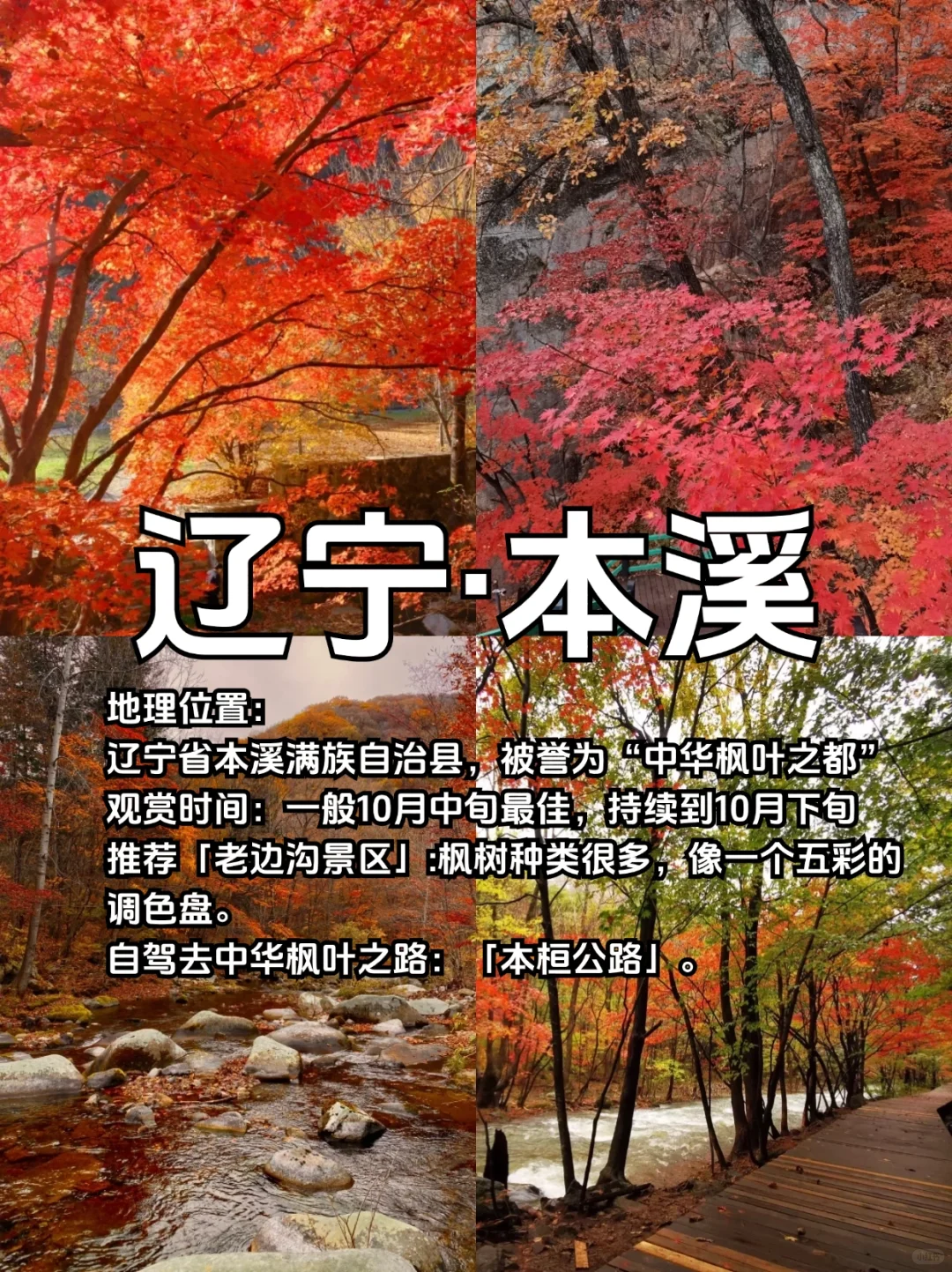 适合10、11月去赏秋的10个城市合集🍁
