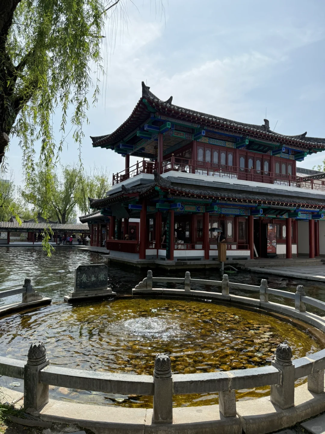 你说一句春不晚，我便来山东下“江南”