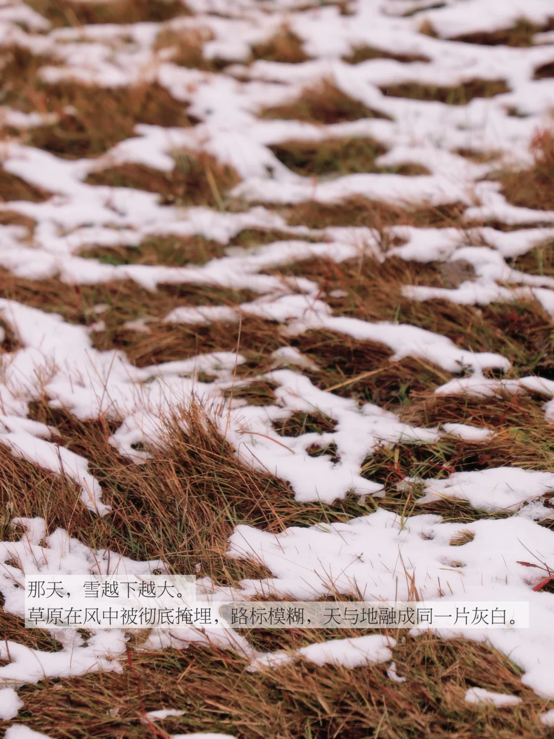 人为什么在辽阔天地面前，会无声流泪。