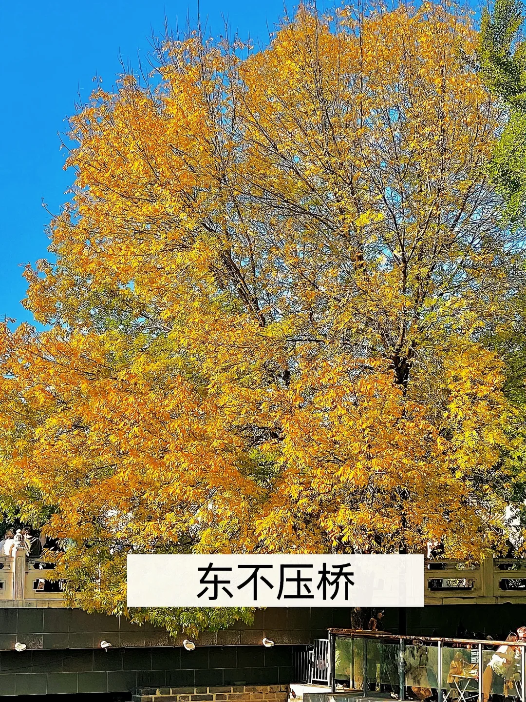 我宣布‼️这是北京免费赏秋🔝Citywalk路线✅