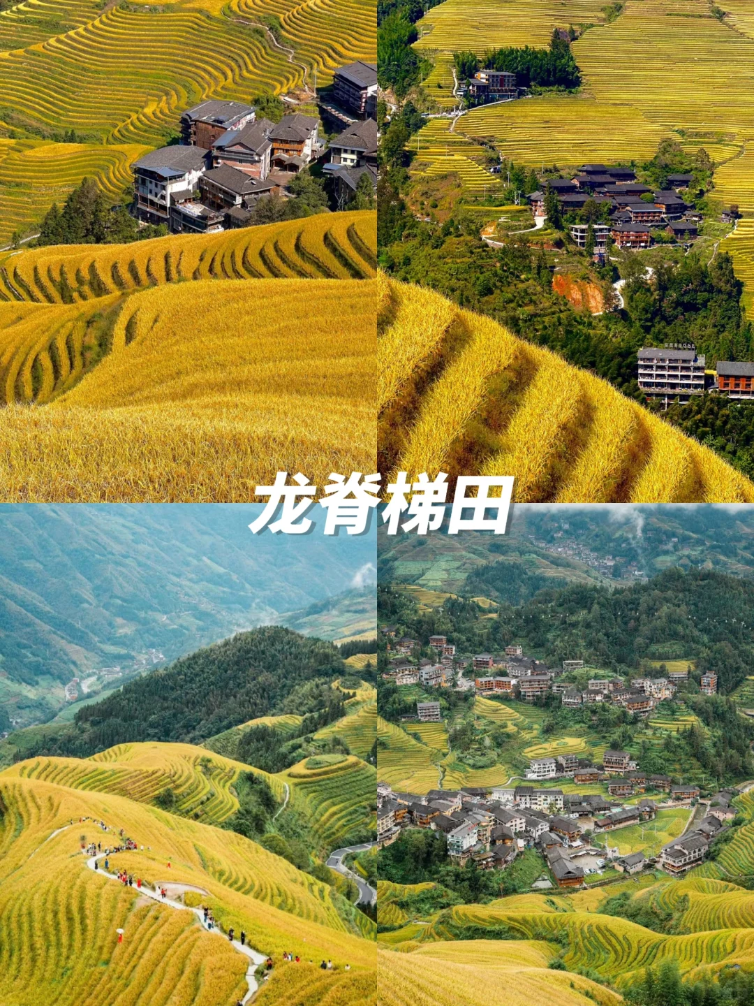 去广西旅游的姐妹们，这九大景点不容错过❗