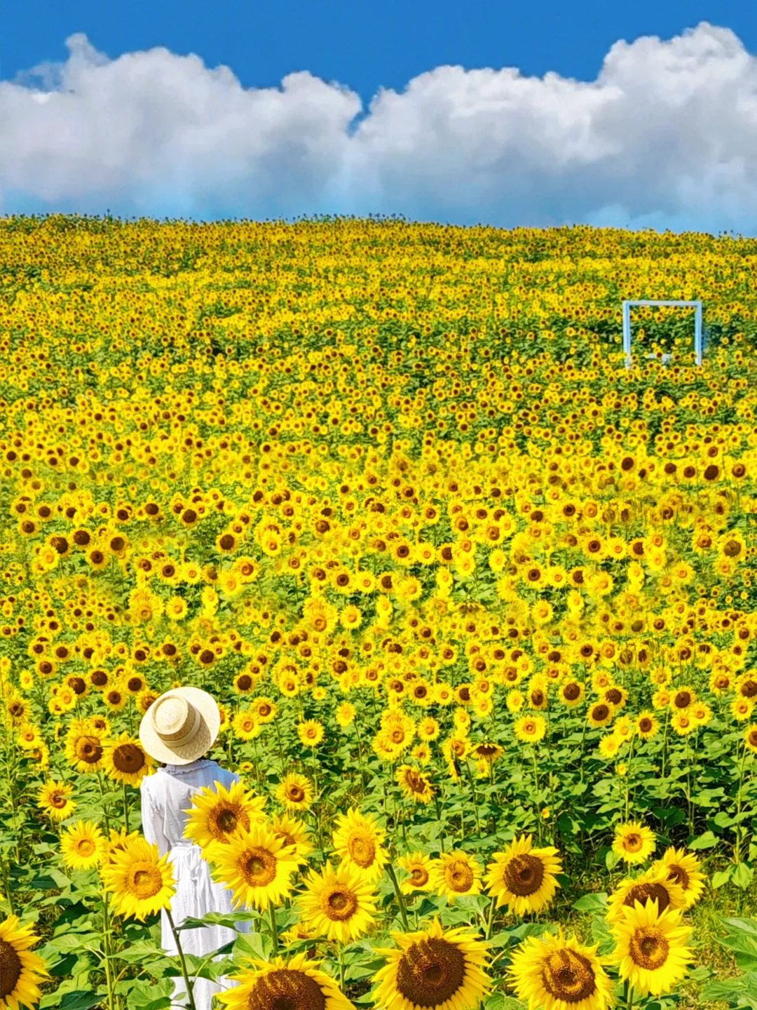 北京的秋天不这样玩儿等于白来！美到窒息！