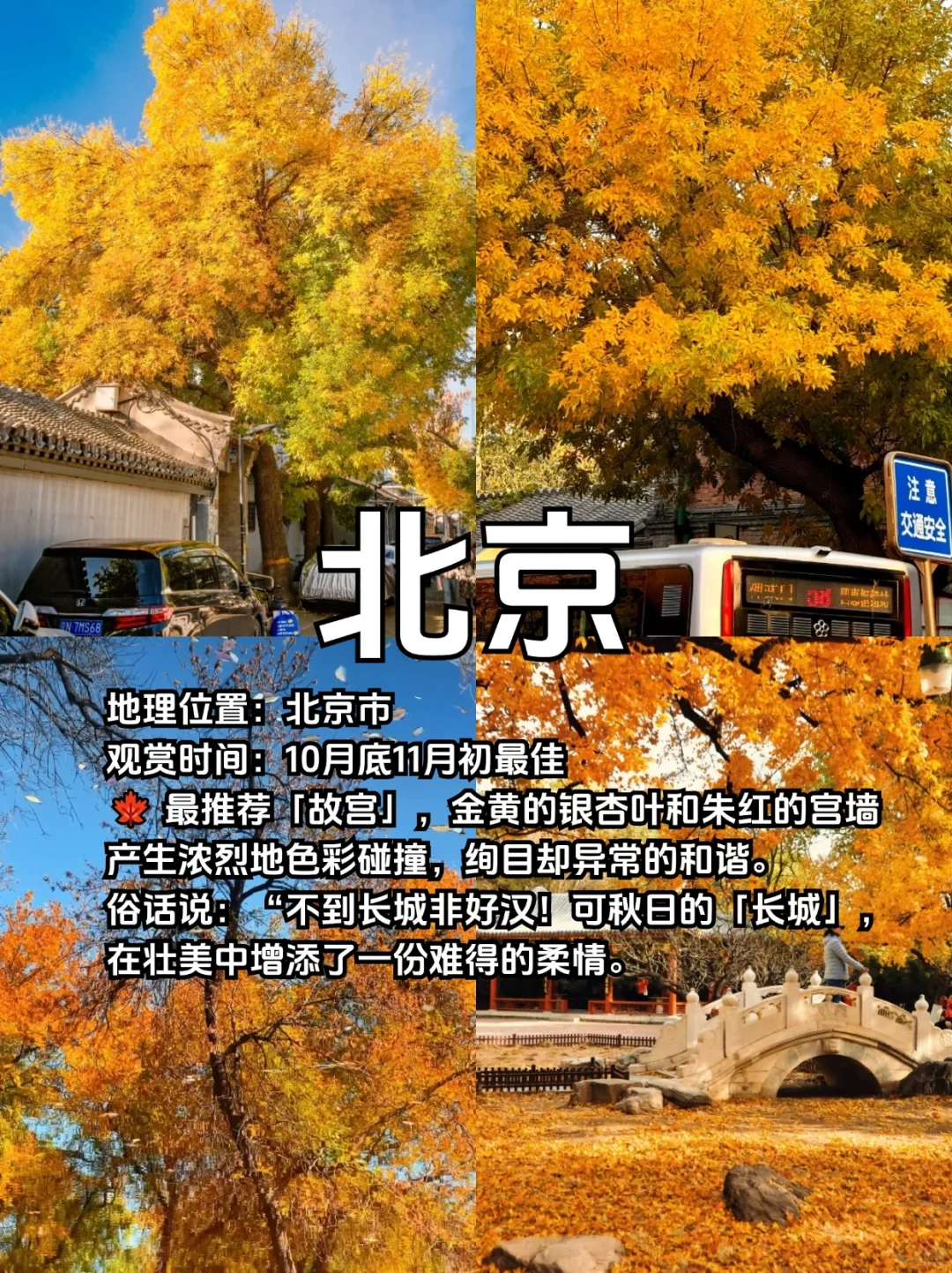 适合10、11月去赏秋的10个城市合集🍁