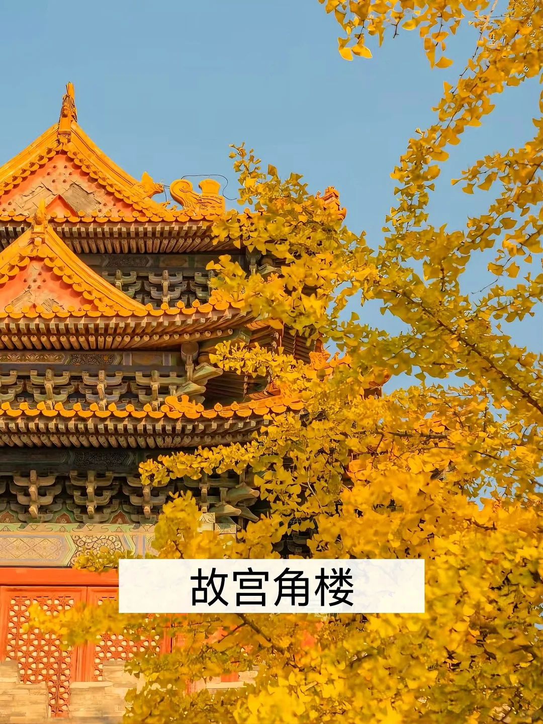 我宣布‼️这是北京免费赏秋🔝Citywalk路线✅