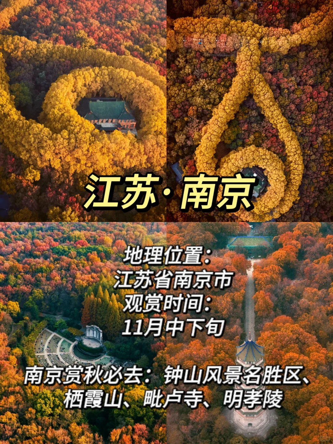 ✨适合11月赏秋的10个城市大合集🍁-