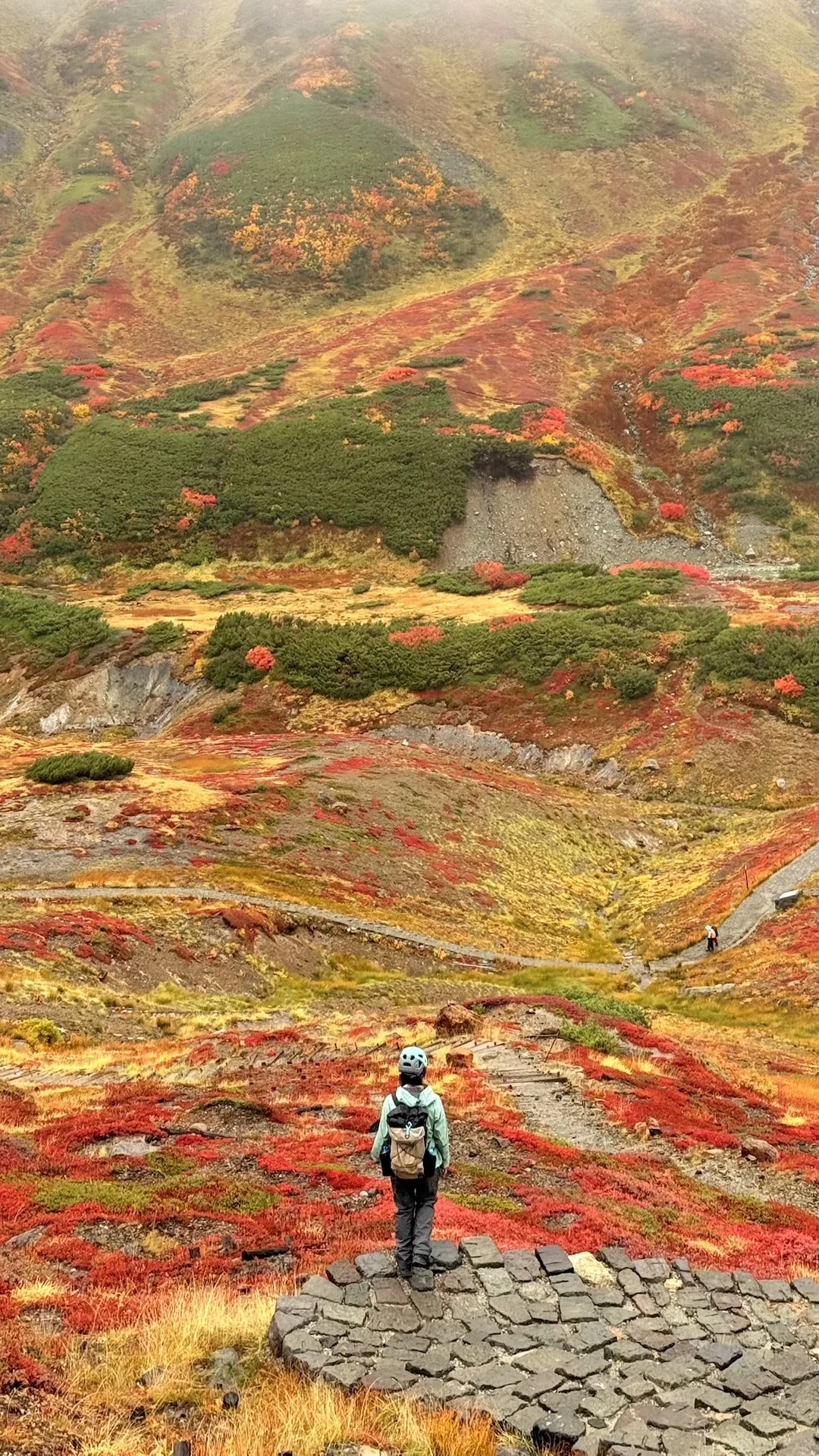 10.05油画立山🍁实况🧡💛❤️附拍照机位攻略