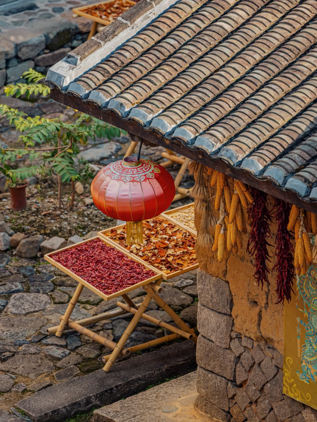 比起婺源!我更推荐这座百年土楼晒秋