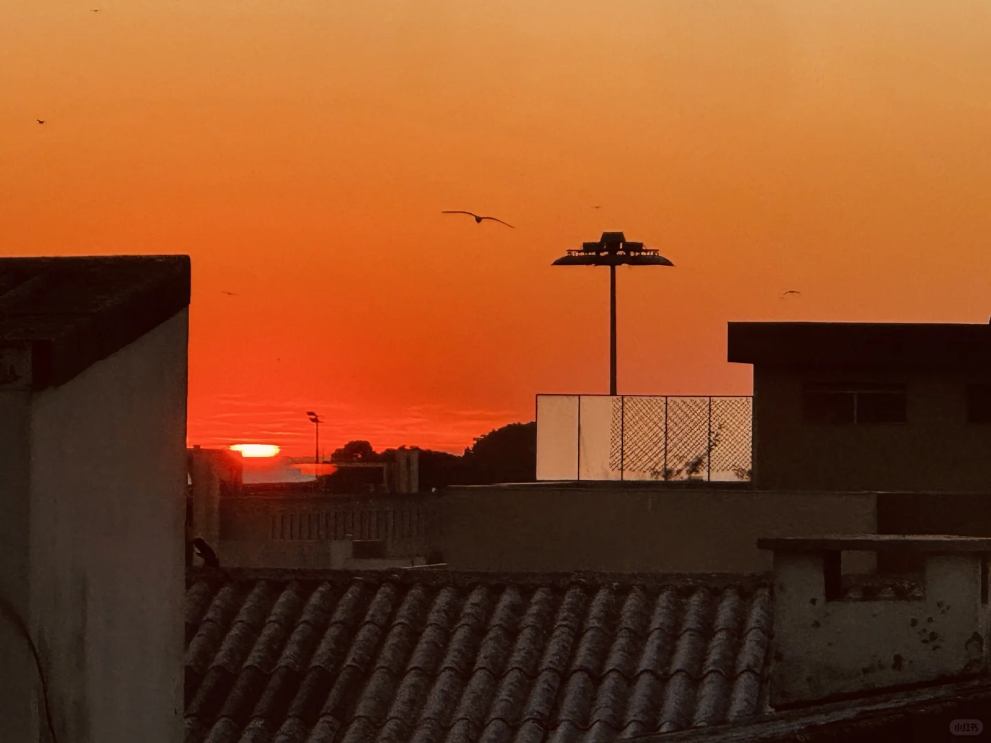 🇵🇹波尔图3 天 2 晚旅游攻略｜人均¥5k 冲❗️