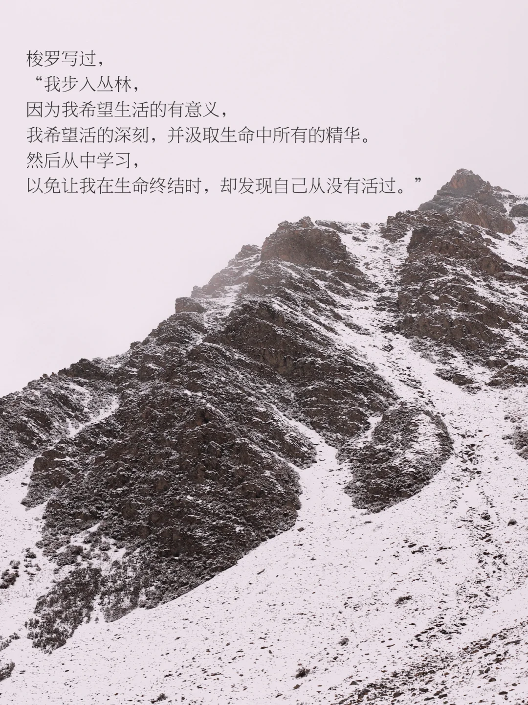 人为什么在辽阔天地面前，会无声流泪。