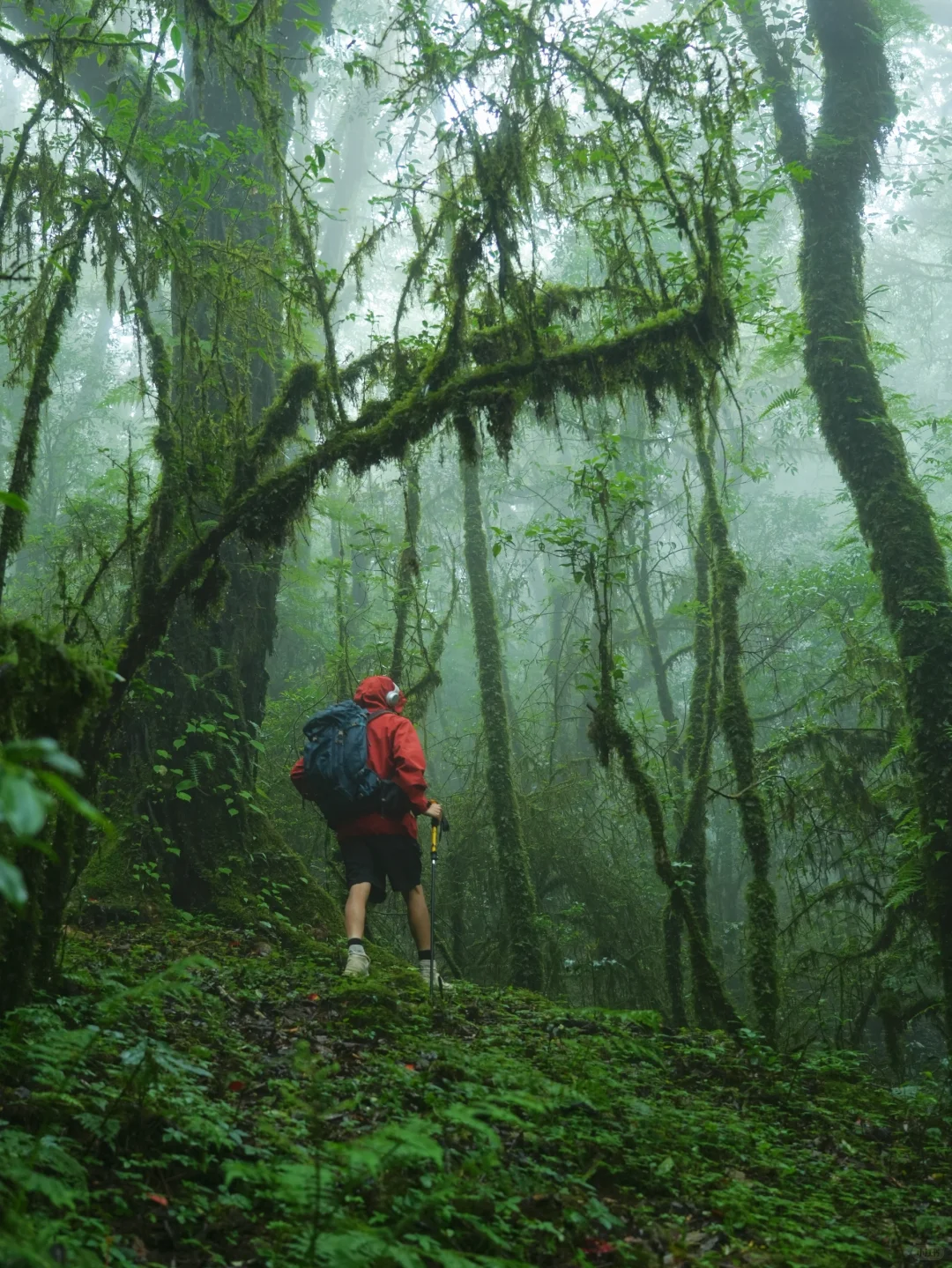 这是我至今为止走过最美的徒步路线!