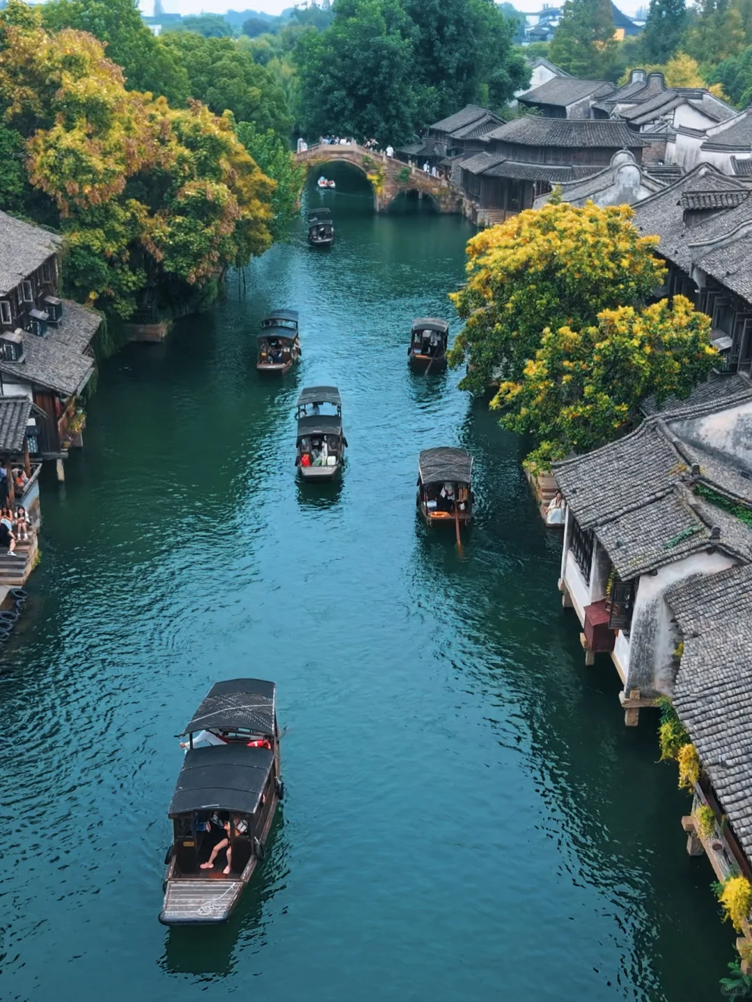 谁懂啊‼️带娃在乌镇过上了同款《向往的生活》