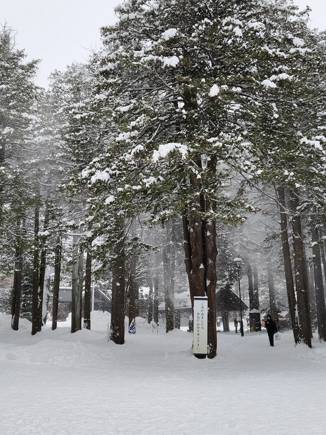 一旦去过北海道这辈子就完蛋了