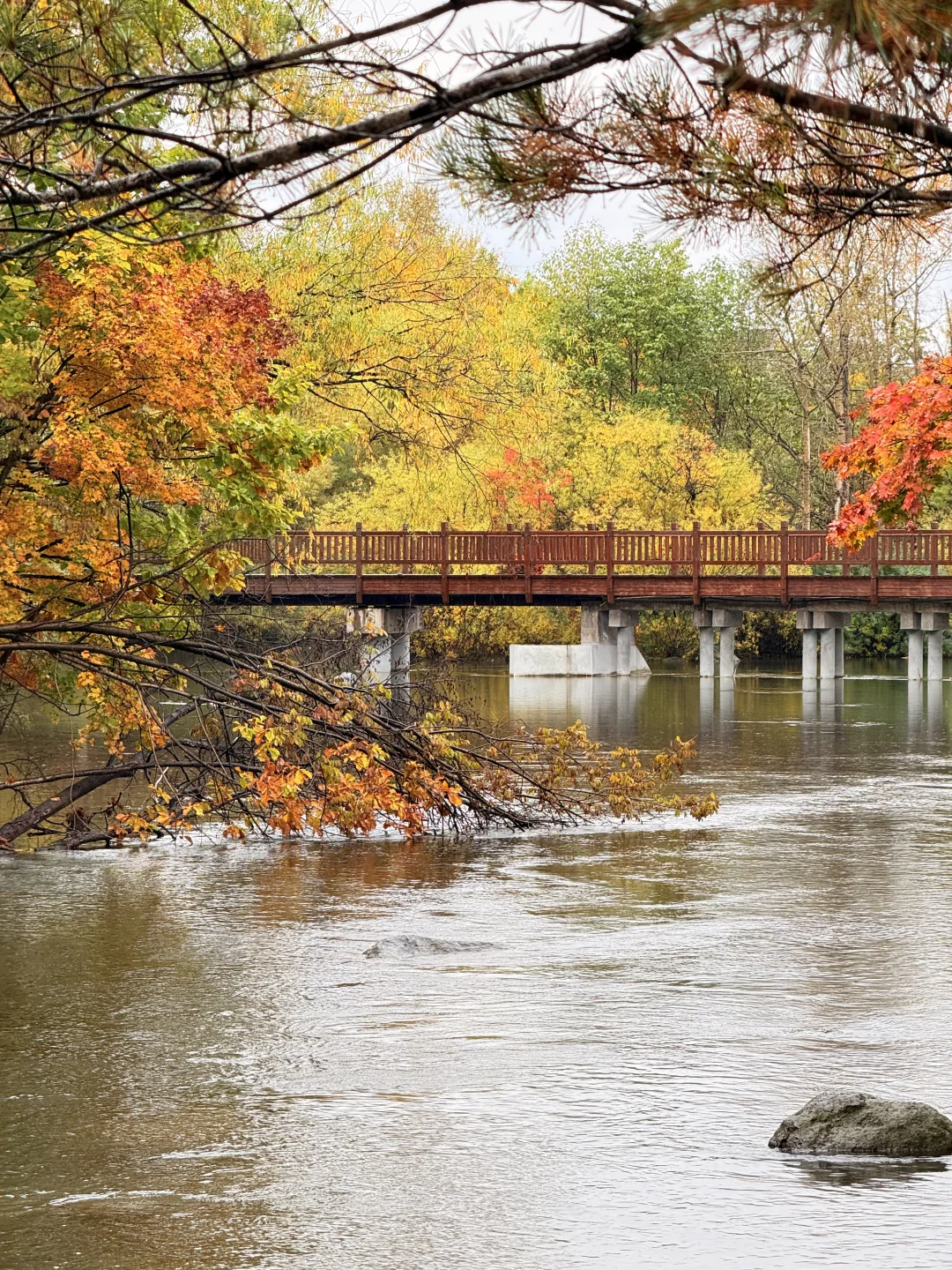 📍长白山|二道白河 秋色正浓~