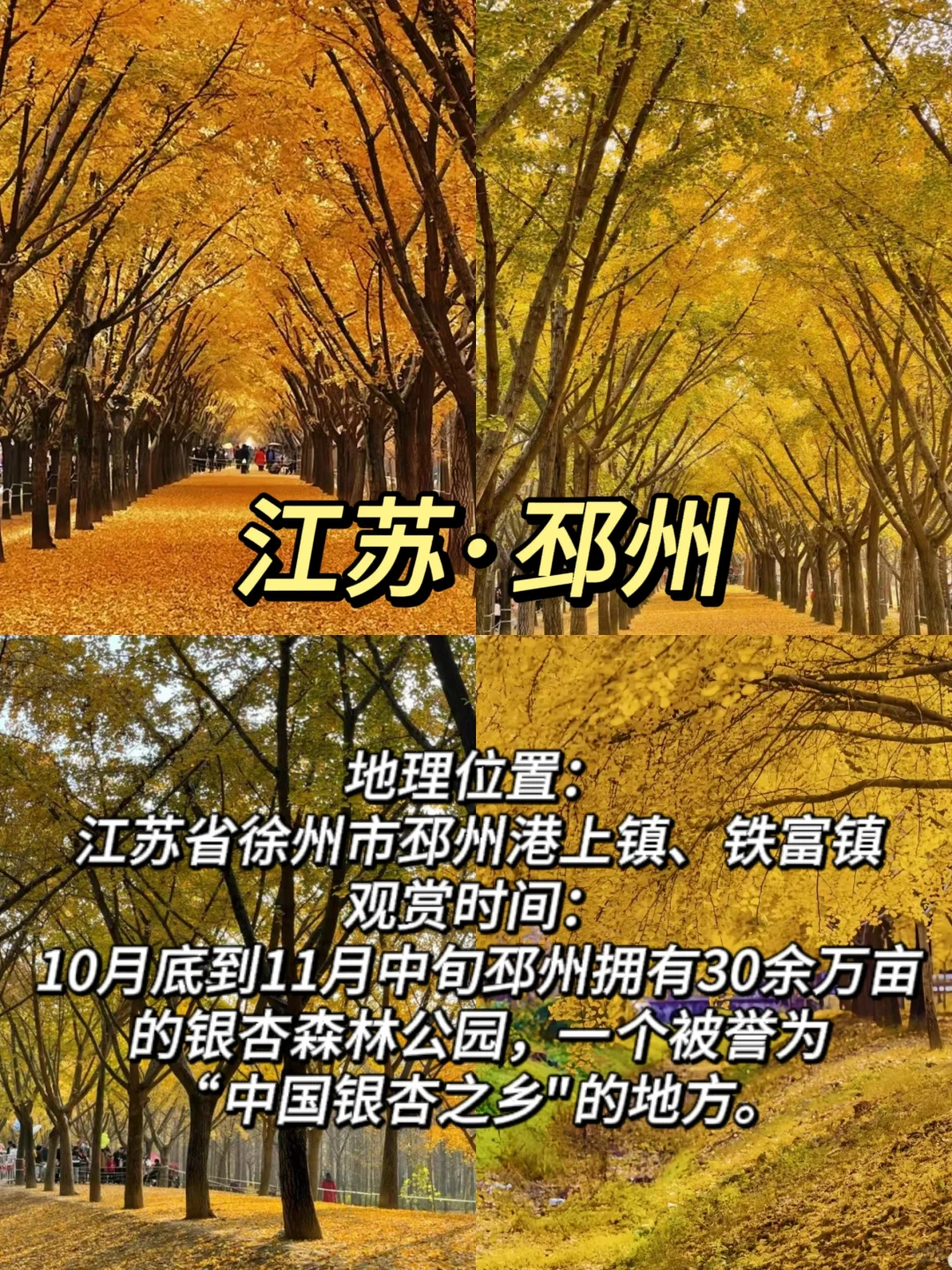 ✨适合11月赏秋的10个城市大合集🍁-