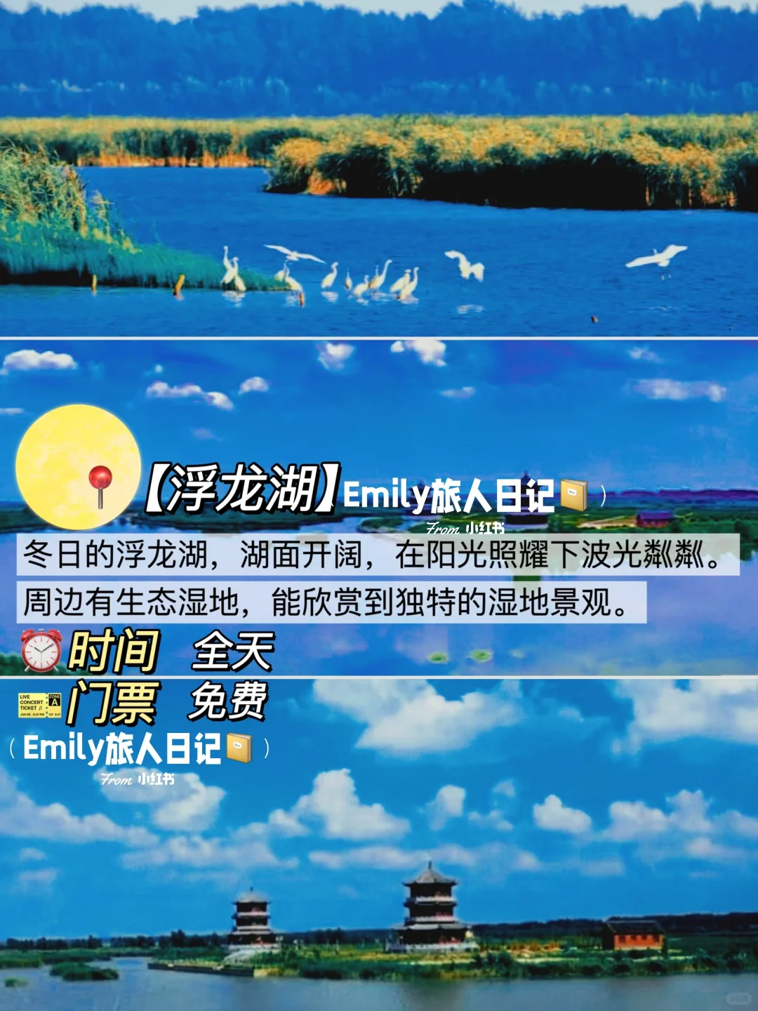 第一次来菏泽｜这篇攻略让你玩得像本地人❗️