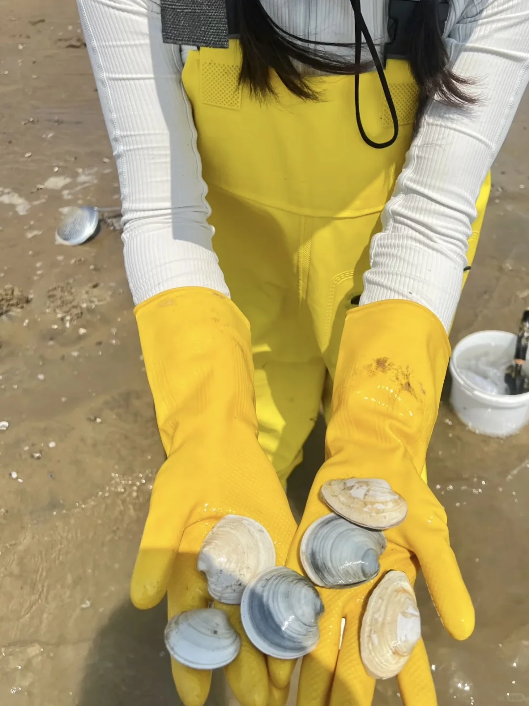 放弃三亚了，带娃去22℃的涠洲岛追鲸鱼啦~