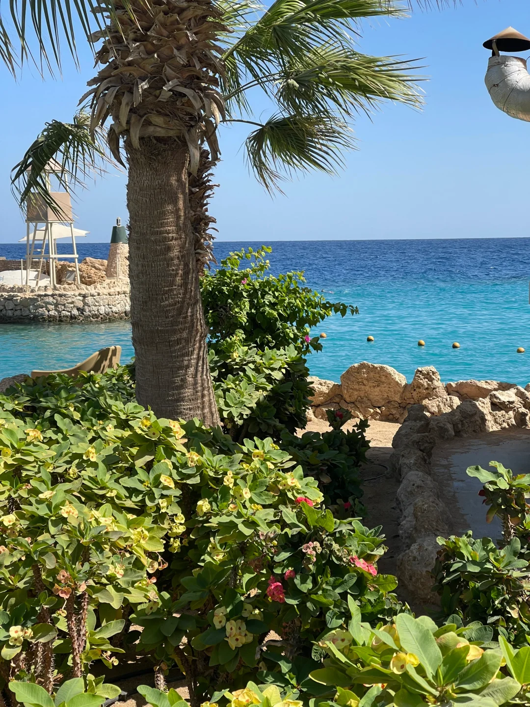 埃及live🇪🇬我宣布赫尔格达的海没有对手！